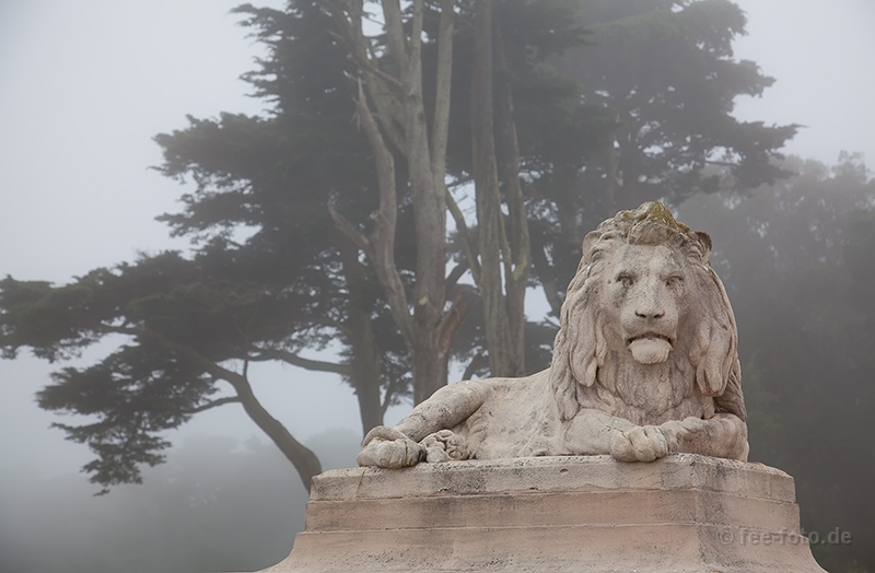 Allgegenwärtiger Nebel